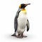 Realistic King Penguin Rendering On White Background