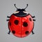 Realistic ladybug on white