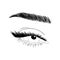 Realistic lashes on white background. Female open eyes and brows. Lamination and extension eyelashes. Beauty studio logo