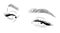 Realistic lashes on white background. Female woman eyes and brows icon. Lamination and extension eyelashes. Beauty