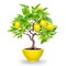 Realistic lemon bonsai tree illustration on isolated white background