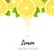 Realistic lemon slice seamless border isolated on white. Fresh citrus with juice drops vector illustration