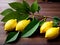 Realistic lemons leaves neutral palette warm lighting.