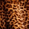 realistic leopard, gypard fur texture