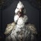 Realistic lifelike chicken hen in renaissance regal medieval noble royal outfits, commercial