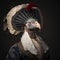 Realistic lifelike turkey in renaissance regal medieval noble royal outfits, commercial, editorial advertisement