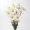 Realistic Lifelike White Daisy Bouquet On White Background