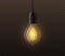 Realistic light bulb. Vintage edison glowing lamp, incandescent illumination, electrical equipment, inspiration and