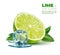 Realistic lime with melting ice cube, mint leaves