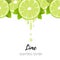 Realistic lime slice seamless border isolated on white. Fresh citrus with juice drops vector illustration