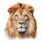 Realistic Lion Head Illustration On White Background