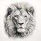 Realistic Lion Portrait Drawing On Grey Background