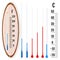 Realistic liquid thermometer with celsius and fahrenheit scales, red and blue indicator. Vector illustration