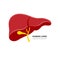 Realistic liver anatomy structure. Vector hepatic system organ, digestive gallbladder organ. Human liver for medical