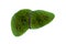 Realistic liver images are human green tree shapes about diseases and cirrhosis environment