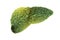 Realistic liver images  are human green tree shapes about diseases and cirrhosis environment