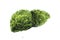 Realistic liver images are human green tree shapes about diseases and cirrhosis environment