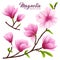 Realistic Magnolia Flower Icon Set