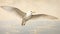 Realistic Marine Painting: Flying White Bird With Open Wings