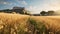 Realistic Mediterranean Landscape With Wheat Field And Mountain