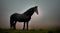 Realistic mesmerizing Illustration of beautiful brown stallion silhouetted against foggy undertone, created with