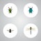 Realistic Midge, Insect, Damselfly And Other Vector Elements. Set Of Insect Realistic Symbols Also Includes Insect