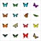 Realistic Monarch, Butterfly, Tropical Moth And Other Vector Elements. Set Of Moth Realistic Symbols Also Includes