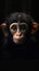 Realistic Monkey on Dark Background AI Generated