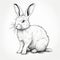 Realistic Monochromatic Rabbit Drawing With Bold Defined Lines