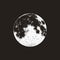 Realistic moon sketch, black and white graphic, vector illustration