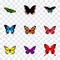 Realistic Morpho Hecuba, Monarch, Common Blue And Other Vector Elements. Set Of Butterfly Realistic Symbols Also