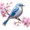 Realistic mountain blue bird very fluffy on very light pink flowered sakura tree