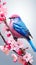 realistic mountain blue,pink, bird very fluffy on very light pink flowered sakura tree