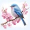 Realistic mountain pink,blue,red bird very fluffy on very light pink flowered sakura tree