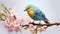 Realistic mountain yellow,blue bird very fluffy on very light pink flowered sakura tree