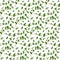 Realistic natural seamless pattern with evergreen herb. Thyme branch and leaves on white background. Flora style. Vector illustra