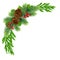 Realistic New Year green coniferous garland / wreath. Natural festive decor. Isolated without shadow