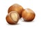 Realistic nuts. Forest plant seed for branding. 3D hazelnut on white background. Nutty taste in chocolate dessert. Bio