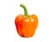 Realistic orange paprika vector illustration