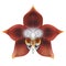 Realistic orchid Neomoorea wallisii isolated detailed front view
