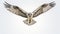 Realistic Osprey In Flight: Captivating Nature Photography