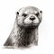Realistic Otter Portrait Drawing On White Background