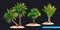 Realistic Palm tree composition set