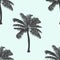 Realistic palm tree seamless pattern. Palm tree isolated. vector illustration