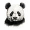 Realistic Panda Bear Illustration: Detailed Penciling In Monochromatic Color Scheme