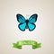 Realistic Papilio Ulysses Element. Vector Illustration Of Realistic Sky Animal Isolated On Clean Background. Can Be Used