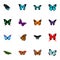 Realistic Papilio Ulysses, Sangaris, Morpho Hecuba And Other Vector Elements. Set Of Beauty Realistic Symbols Also
