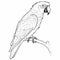 Realistic Parrot Coloring Page With Crisp Outline Art