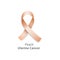 Realistic peach ribbon icon for uterine cancer research and awareness