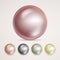 Realistic Pearls Isolated Vector. Set 3d Shiny Oyster Pearl Ball For Luxury Accessories. Sphere Shiny Sea Pearl Illustration